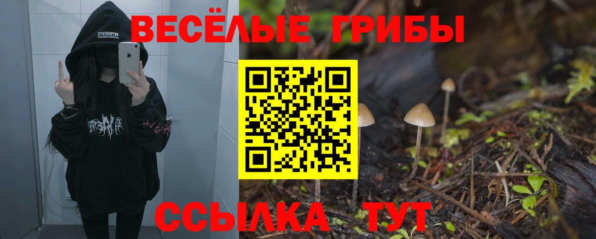 Нерюнгри  Галлюциногенные грибы Magic Shrooms  Вход с VPN 